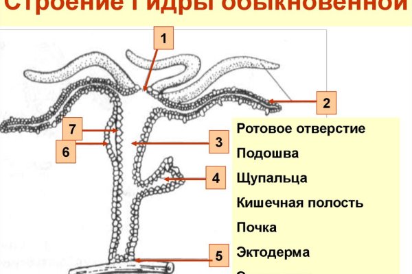 Как восстановить страницу на кракене