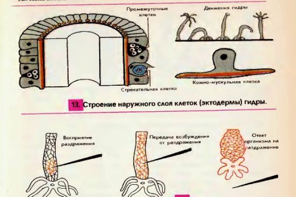 Новый адрес кракен